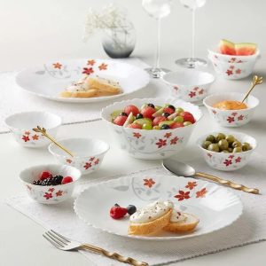 Larah Borosil Opalware 17 Piece Dinner Set
